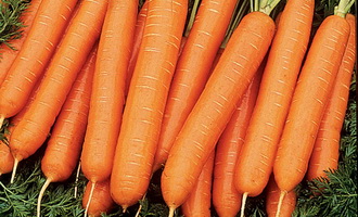 Морковь "Марлинка"
